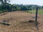 Land in Homagama
