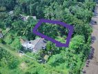 Land in Homagama Moragahahena Rd Pitipana South
