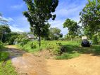 Land in Homagama Munamale - Uduwana