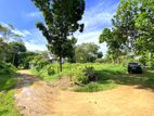 Land in Homagama Munamale - Uduwana