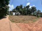 Land in Homagama Munasinghe Gama