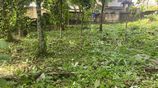 Land in Homagama Town