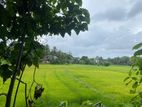 Land in Homagama Town