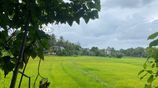 Land in Homagama Town