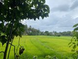 Land in Homagama Town