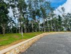 Land in Horana Ballapitiya