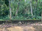 Land Sale in Horana