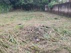 Land in Kadawath Weliweriya West Plot 01