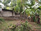 Land in Kadawatha Eldeniya Plot 14