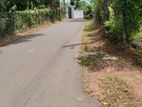 Land in Kadawatha Gonahena