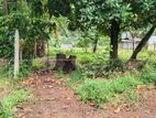 Land in Kadawatha Imbulgoda Plot 03