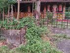 Land in Kadawatha Imbulgoda Plot 04