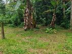 Land in Kadawatha Imbulgoda Plot 09