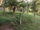 Land in Kadawatha Imbulgoda Plot 10