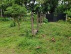 Land in Kadawatha Kirimetiyagaraya Plot 01