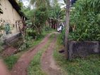 Land in Kadawatha Kokiskade Junction Plot 01