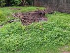 Land in Kadawatha Sooriyapaluwa - 700 m to Kandy Road