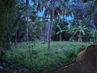 Land in Kadawatha Town 10