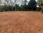 Land in Kalagedihena Sapugasthenna Plot 02