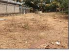 Land for Sale in Kallay