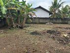 Land in Kalutara Nagoda Pulatan Watta