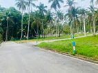 Land In Kandana