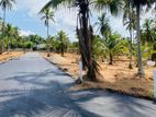 Land In Kandana