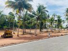 Land In Kandana
