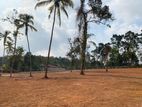 Land in kandana Ganemulla 276 bas road