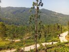 Land in Kandy