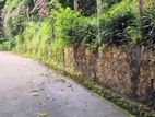 Land in Kandy Town Plot 01