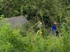 Land in Kandy Town Plot 04