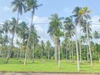 Land in Katunayaka