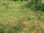 Land Sale in Kirimetitenna