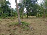 Land in Krunegala City Limit at Uhumeeya