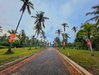 Land in Kuliyapitiya