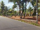Land in Kurunegala for sale