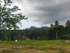 Land in කුරුණෑගල