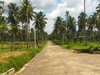 Land in කුරුණෑගල - නාරම්මල