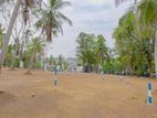 Land in Mahara 100m kandy road