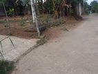 Land in Manikhinna Kengalla Rd - Kandy For Sale