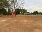 Land in Maradankadawala Town, Facing Jaffna Road