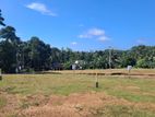 Land in Meegoda