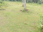Land in Meegoda Homagama Werulagoda Rd