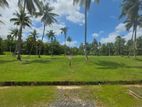 Land in Mellawagedara (Lot No 40)
