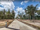 Land in Minuwangoda Devalapola