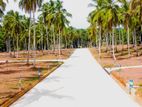 Land In Minuwangoda