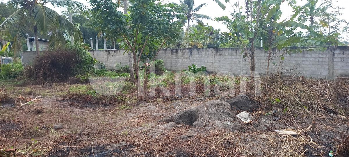 Land in Minuwangoda ikman