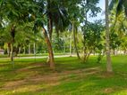 Land In Minuwangoda