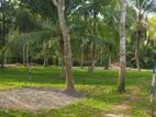 Land In Minuwangoda